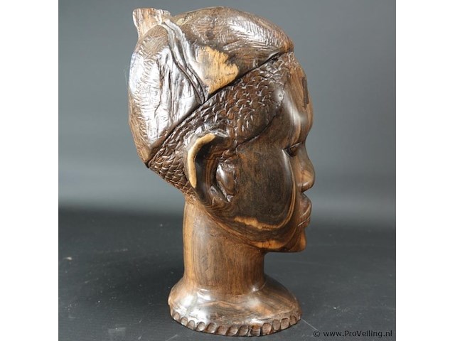 Zware coromandelhouten buste - afbeelding 4 van  5