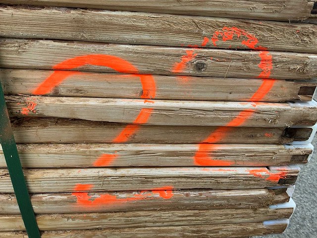 Zware plank (56x) - afbeelding 3 van  11