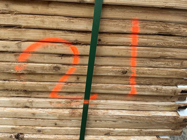 Zware plank (56x) - afbeelding 3 van  11