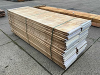 Zware plank (56x) - afbeelding 6 van  11