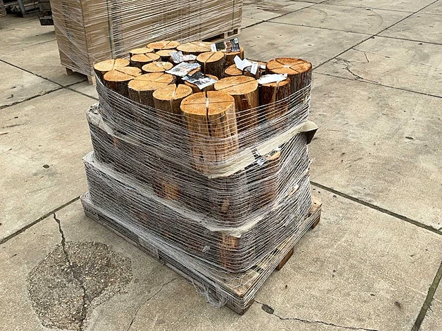 Zweedse fakkel (70x) - afbeelding 3 van  9