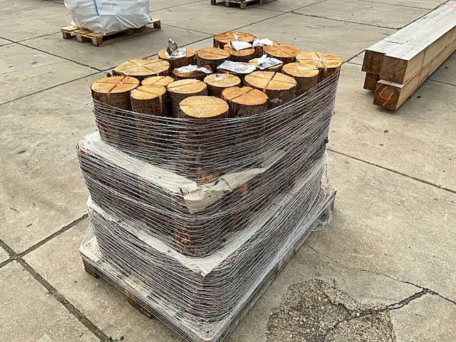 Zweedse fakkel (70x) - afbeelding 4 van  9