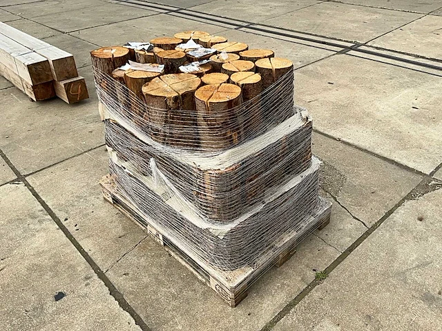 Zweedse fakkel (70x) - afbeelding 5 van  9