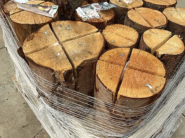 Zweedse fakkel (70x) - afbeelding 6 van  9