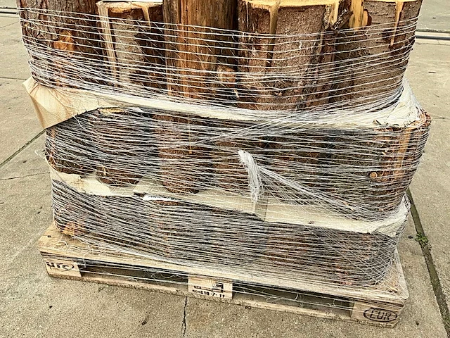 Zweedse fakkel (70x) - afbeelding 9 van  9