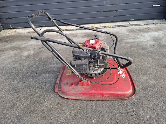 Zweefmaaier, allen - afbeelding 1 van  5