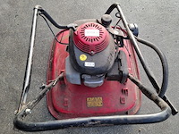 Zweefmaaier, allen - afbeelding 2 van  5