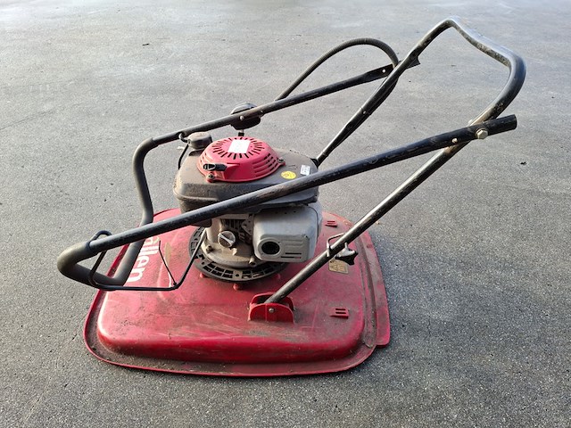 Zweefmaaier, allen - afbeelding 3 van  5