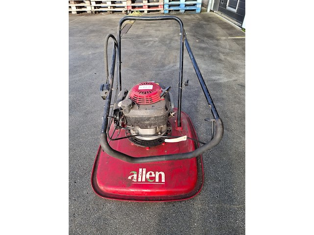 Zweefmaaier, allen - afbeelding 4 van  5