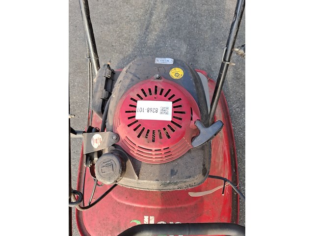 Zweefmaaier, allen - afbeelding 5 van  5