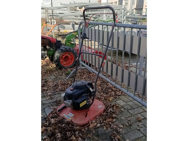 Zweefmaaier - afbeelding 1 van  4