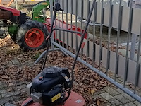 Zweefmaaier - afbeelding 1 van  4