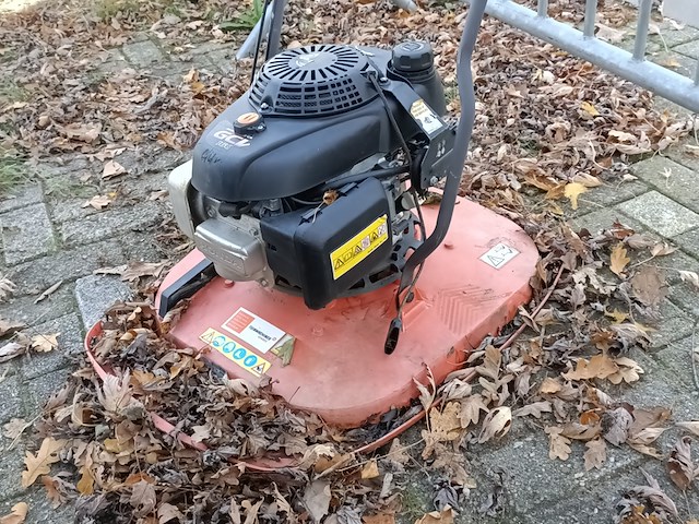 Zweefmaaier - afbeelding 2 van  4