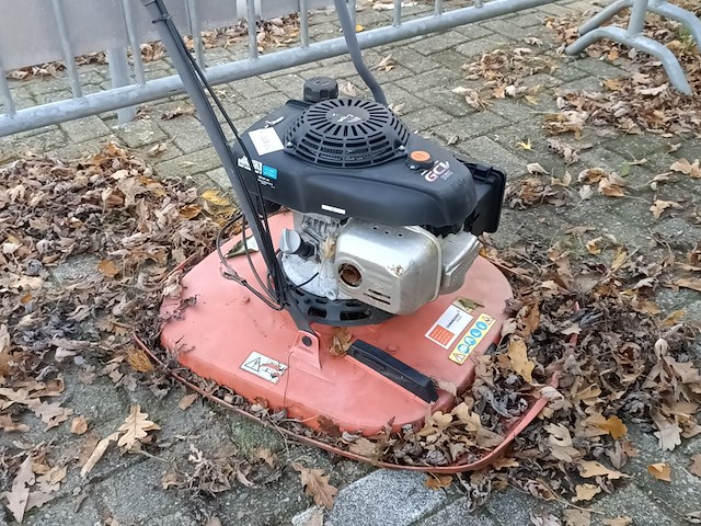 Zweefmaaier - afbeelding 3 van  4