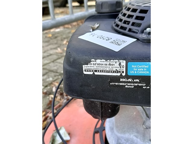 Zweefmaaier - afbeelding 4 van  4