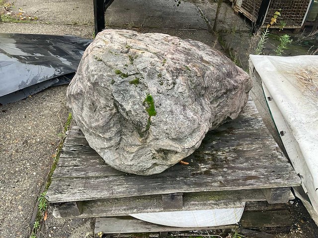 Zwerfkei/siergrind - afbeelding 2 van  5