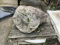 Zwerfkei/siergrind - afbeelding 2 van  5