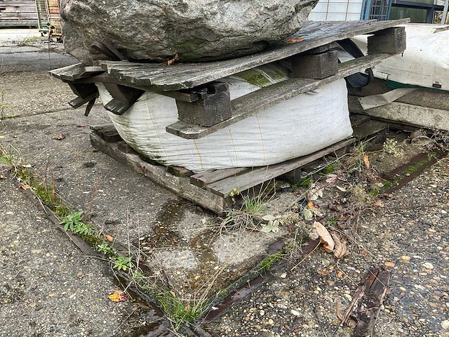 Zwerfkei/siergrind - afbeelding 4 van  5