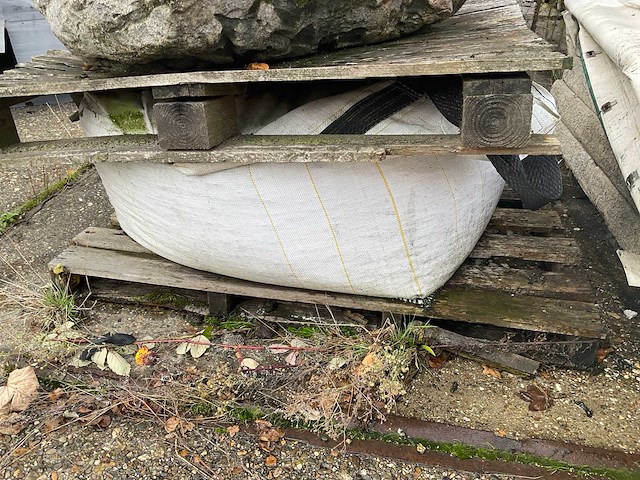 Zwerfkei/siergrind - afbeelding 5 van  5