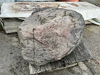 Zwerfkei/siergrind - afbeelding 3 van  5