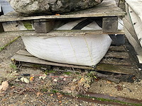 Zwerfkei/siergrind - afbeelding 5 van  5