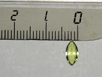 0,48 ct. marquise-vorm appelgroene kleur peridoot-edelsteen - afbeelding 11 van  13