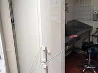 1 koel vrieskast aeg, elektrolux santo, wit, bouwjaar 2008 - afbeelding 2 van  6