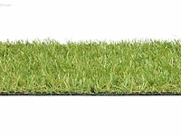 1 rol 11,5x2m - 20mm poolhoogte - afbeelding 2 van  4