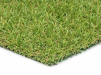 1 rol 5x2m - 20mm poolhoogte - afbeelding 3 van  4