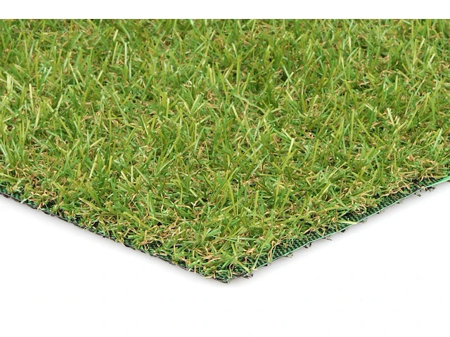 1 rol 6,5x4m - 20mm poolhoogte - afbeelding 3 van  4