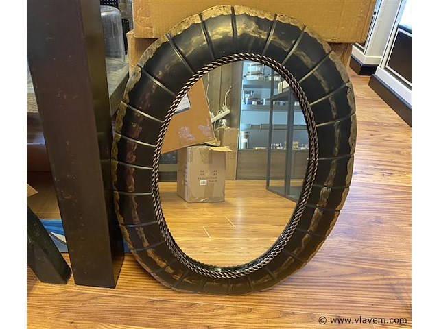 1 spiegel ptmd - afbeelding 1 van  2