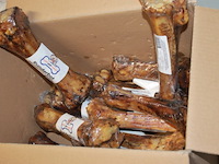 10 honden botten zie foto - afbeelding 1 van  5