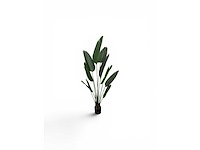 10 leaves travellers (2x) - afbeelding 2 van  5