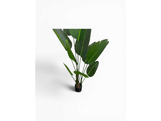 10 leaves travellers (2x) - afbeelding 5 van  5