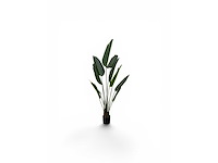 10 leaves travellers (5x) - afbeelding 3 van  5