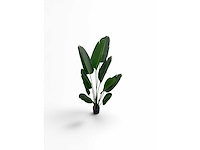 10 leaves travellers (5x) - afbeelding 4 van  5