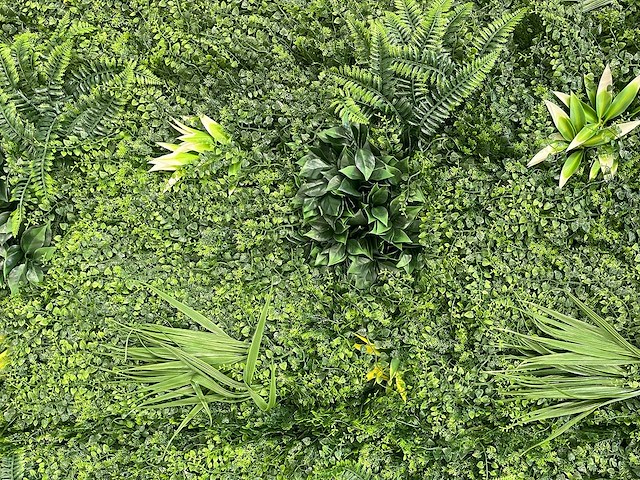 10 m² evergreen - kunstgroen wandbekleding - ongebruikt - afbeelding 1 van  6