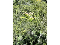 10 m² evergreen - kunstgroen wandbekleding - ongebruikt - afbeelding 2 van  6