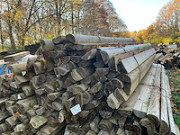 100 geautoclavede halve stammen - afbeelding 1 van  3