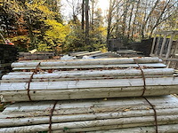 100 geautoclavede halve stammen - afbeelding 2 van  3