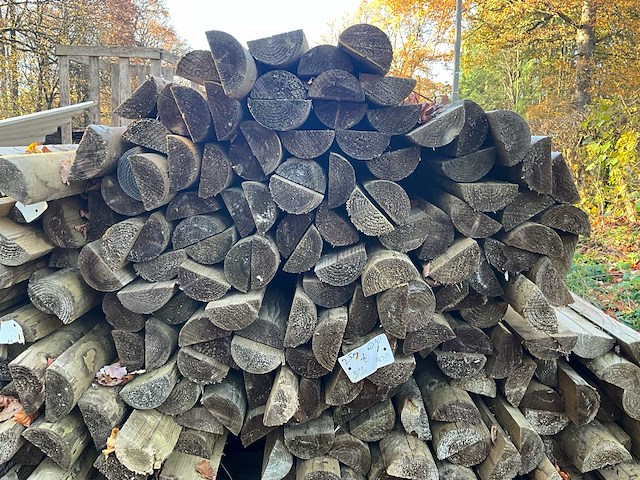 100 geautoclavede halve stammen - afbeelding 3 van  3