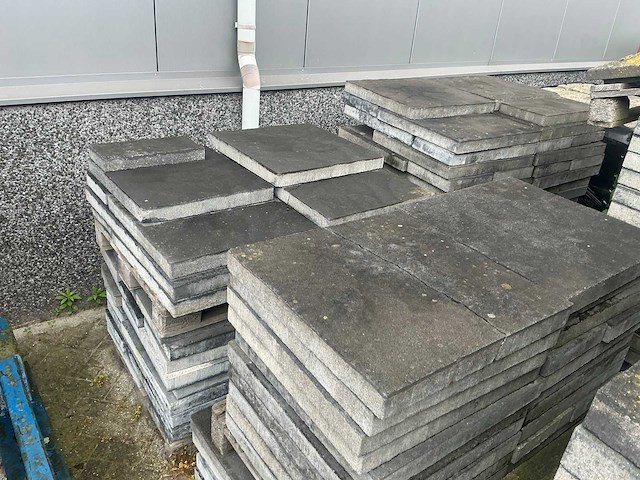 100m2 wildverband bestrating - afbeelding 3 van  5