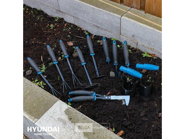 100x hyundai tuingereedschap - afbeelding 3 van  3