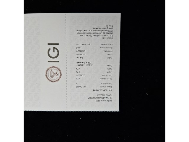 1.01 karaat diamant (gecertificeerd) - afbeelding 9 van  9