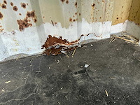 10ft zeecontainer - afbeelding 7 van  7