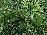 10m2 wanddecoratie kunstplant 'forest' ongebruikt - afbeelding 24 van  26