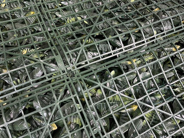 10m2 wanddecoratie kunstplant 'forest' ongebruikt - afbeelding 18 van  23