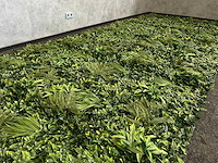 10m2 wanddecoratie kunstplant 'forest' ongebruikt - afbeelding 12 van  26