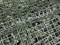 10m2 wanddecoratie kunstplant 'forest' ongebruikt - afbeelding 21 van  26