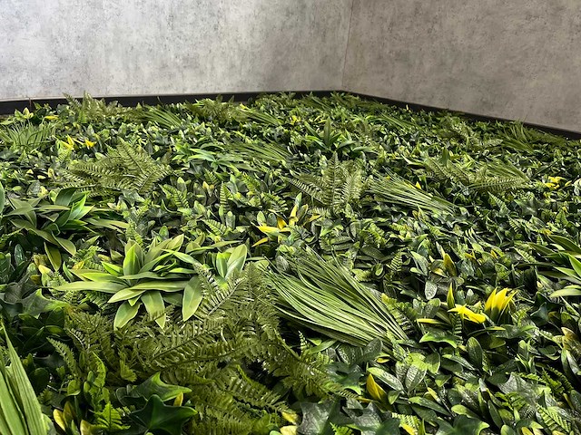 10m2 wanddecoratie kunstplant 'forest' ongebruikt - afbeelding 24 van  26